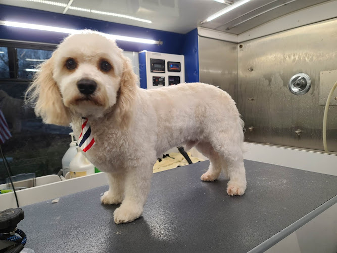 Purrfect Pawz Mobile Pet Grooming