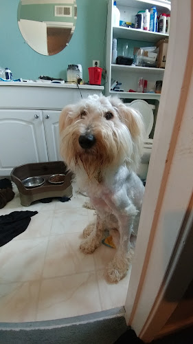 Quality Pet Spot Hillsdale