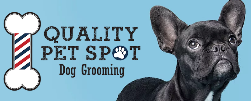 Quality Pet Spot Silver Creek