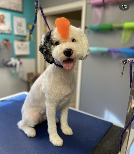 Quinny's Pet Grooming