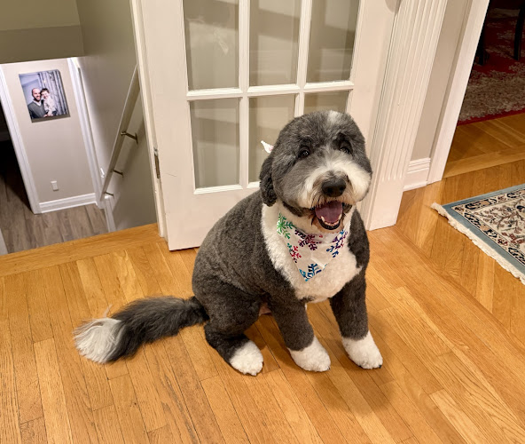 Rainbow Pet Salon (Pink)