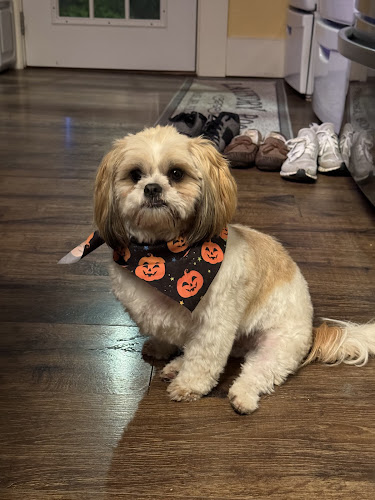 Randler's Dog Grooming Parlor