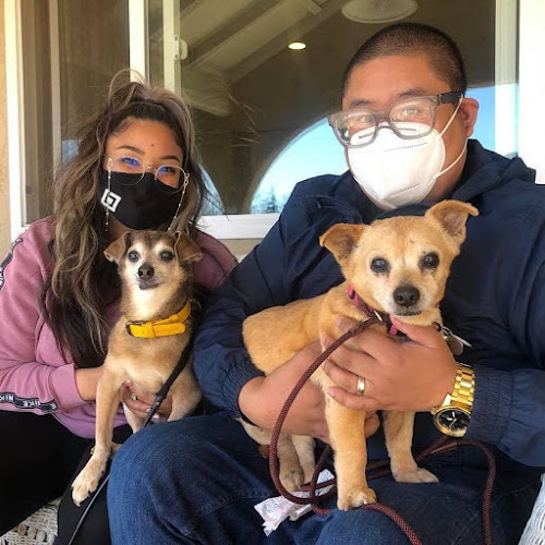 Raquel's Senior Dog Bed & Breakfast