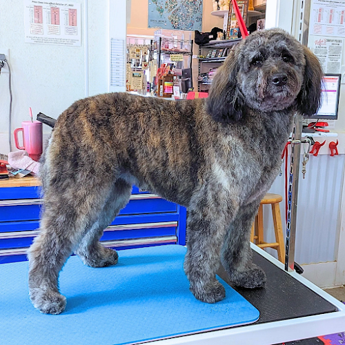 Reba's with A Personal Touch Pet Salon LLC