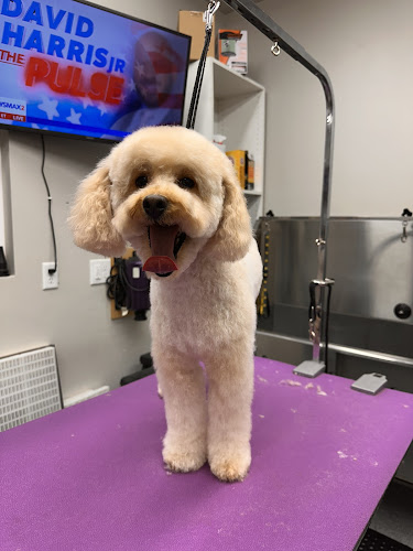 Red Desert Pet Grooming