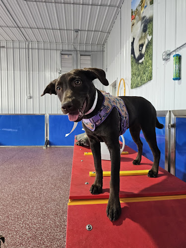 Red Hydrant Lounge & Suites