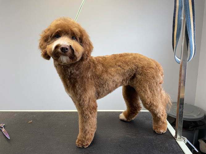 Redefined Grooming LLC