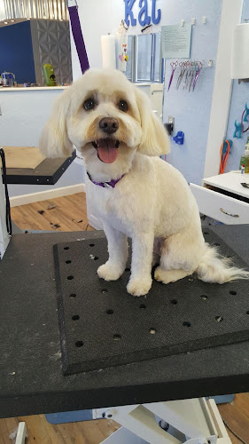 Republic of Paws Grooming - Old Colorado City