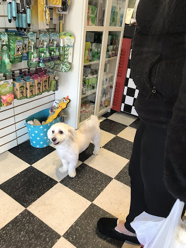 Riverdale Grooming - Popcorn Pawz