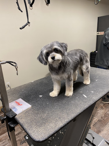 Rivers Edge Dog Grooming & Dog Boarding