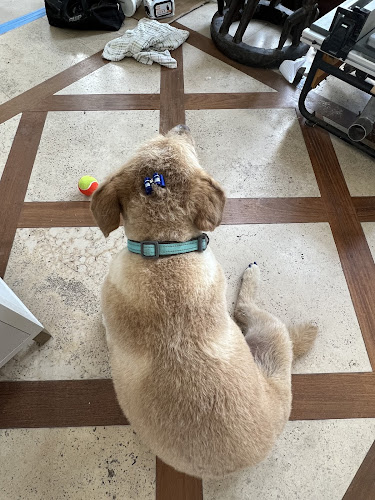 Riverside Pet Salon & Boarding