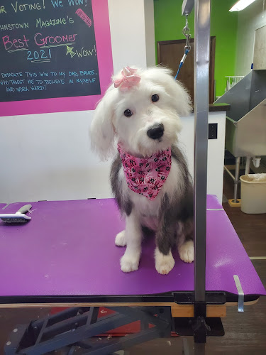 Robyn's Dog Grooming