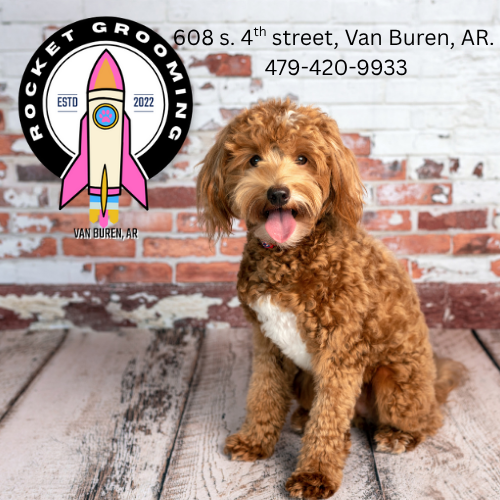 Rocket Grooming Salon