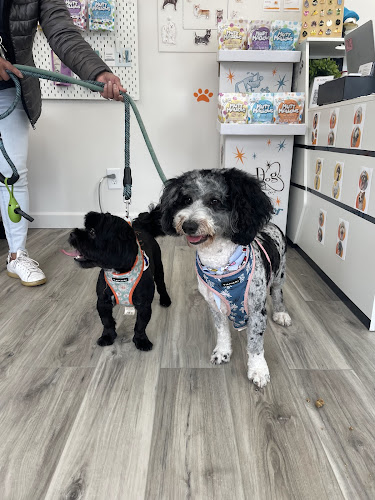 Rollypups Pet Grooming