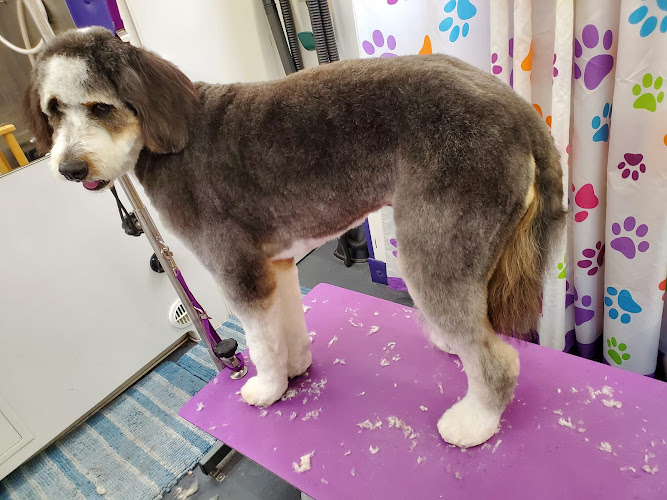 Roni's Mobile Grooming LLC