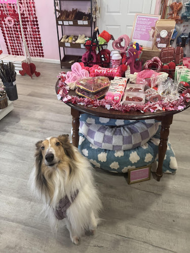 Rough Collie Co.Pet Boutique
