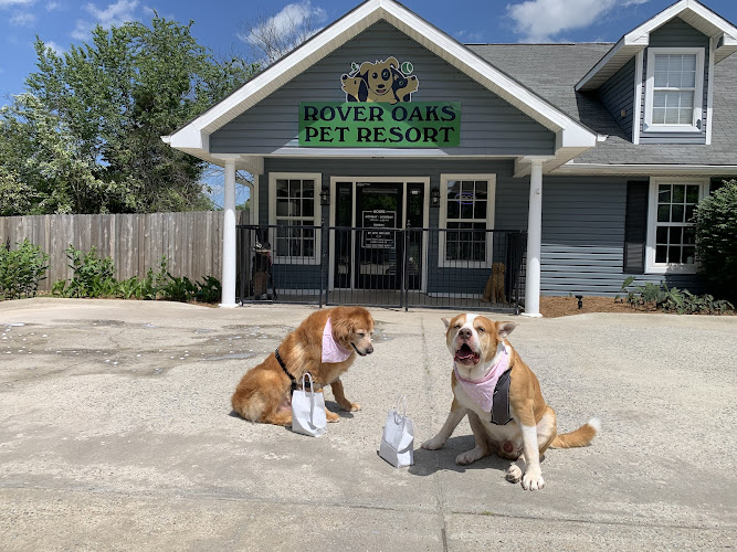 Rover Oaks Pet Resort