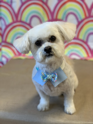 ROVER VALLEY NATURAL PET