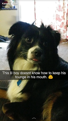 Royal Aussies of Virginia