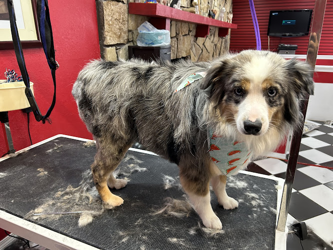 Royal Heirs Pet Spa, LLC