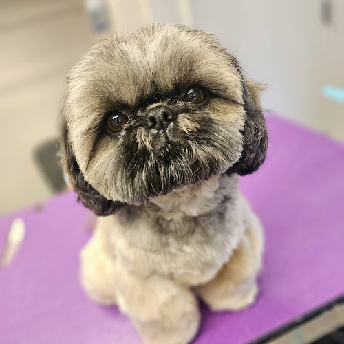 Royal Pawlor Grooming LLC