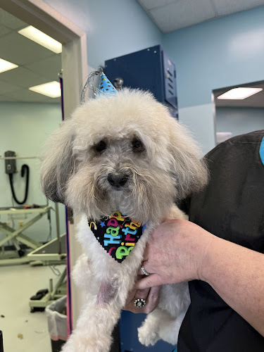 Rub-a-Dub-Dog Bathhouse and Spa