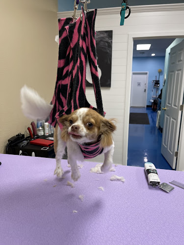 Ruff Around the Edges