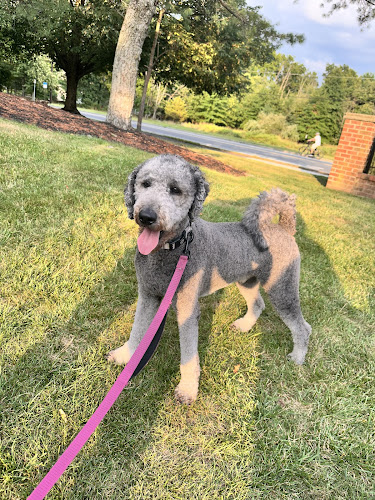 RUFF CUTS BOUTIQUE LLC