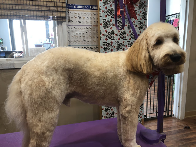 Ruff Cuts Dog Salon & Boutique