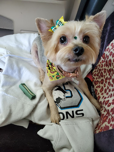 Ruff Cuts Pet Grooming