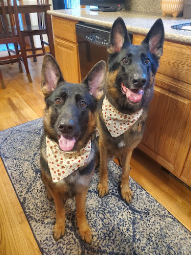 Ruff Haus Kennels, LLC