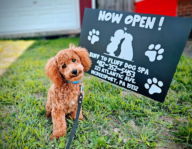 Ruff to Fluff Dog Spa LLC