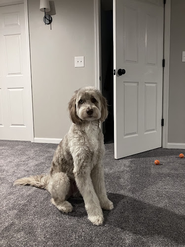 Ruff To Fluff Grooming