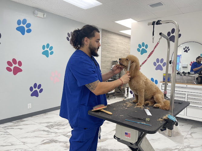 Ruff To Fluff Pet Salon