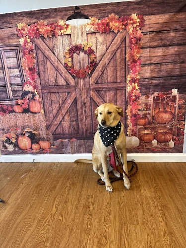 Ruff Waters Dog Wash