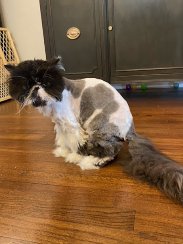 Ruff2Ritz Grooming LLC