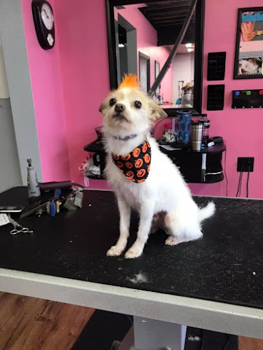 Ruffing It Doggie Day Care Overnight Center Grooming & Barkery