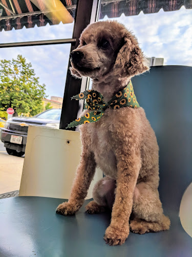 Rufus DuMonde Pet Salon