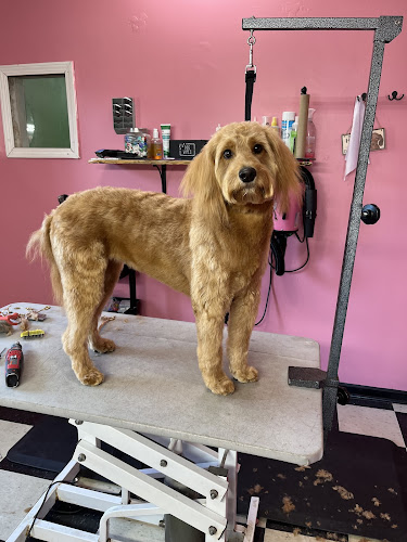 Rylee’s Grooming LLC