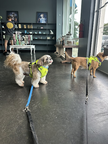 Salon Versace Dog Wash & Grooming