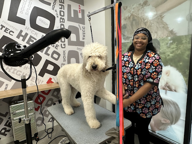 Salty Dawg Pet Salon + Bakery - Westside Atlanta