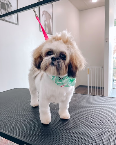 Salty Dog Grooming Pawlor