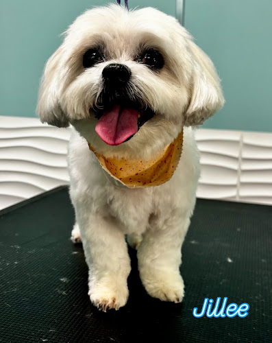 Salty Paws Healthy Pet Market