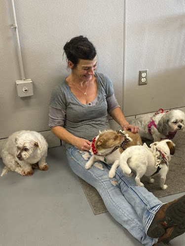 Sandy Paws Pet Grooming