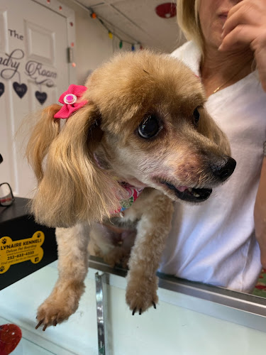 Santa's Doggie Workshop