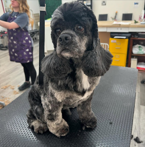 Sarah's Groomingdale's Pet Salon