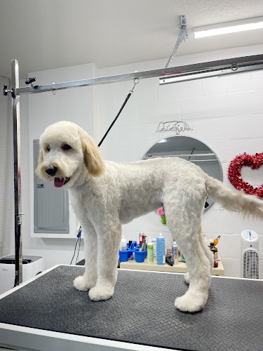SARAHS DOG GROOMING STUDIO LLC