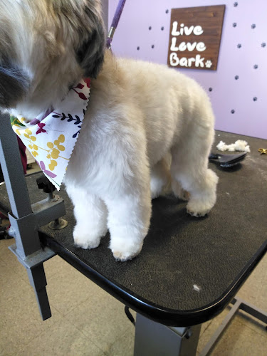 Scally-Wag Grooming LLC