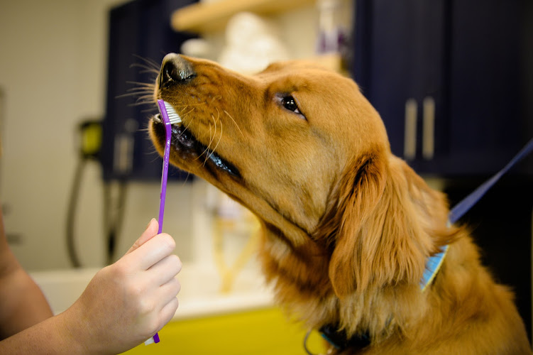 Scenthound Fort Myers Daniels Parkway