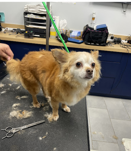 Scenthound Overland Park